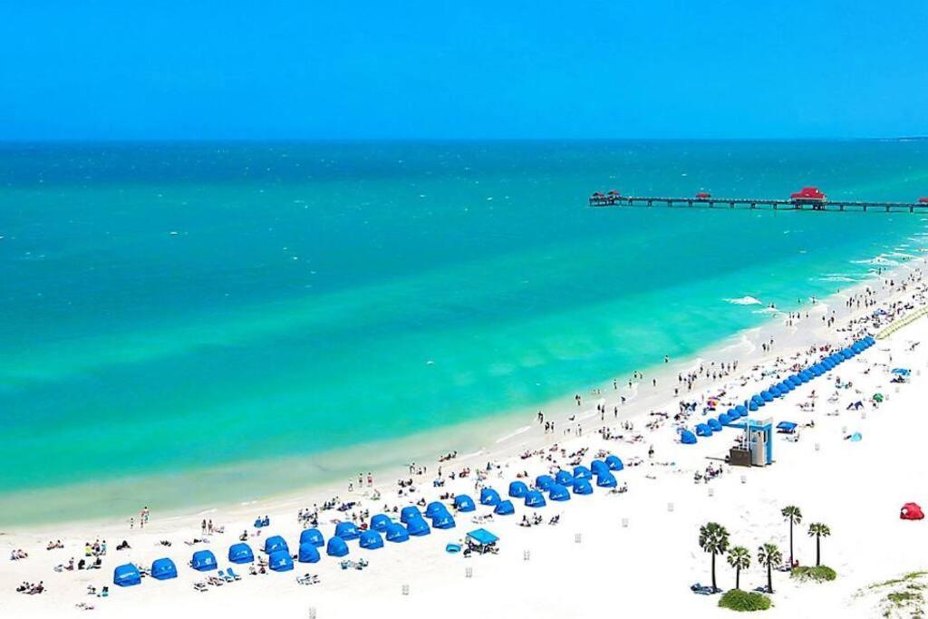 Ferienhaus Cozy Sanctuary Minutes From The Bay And Beaches Tampa