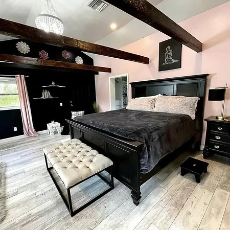 Cozy Sanctuary Minutes From The Bay And Beaches Tampa Exterior photo