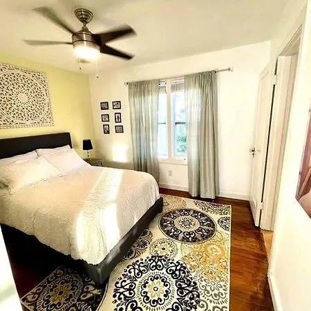Cozy Sanctuary Minutes From The Bay And Beaches Tampa Exterior photo