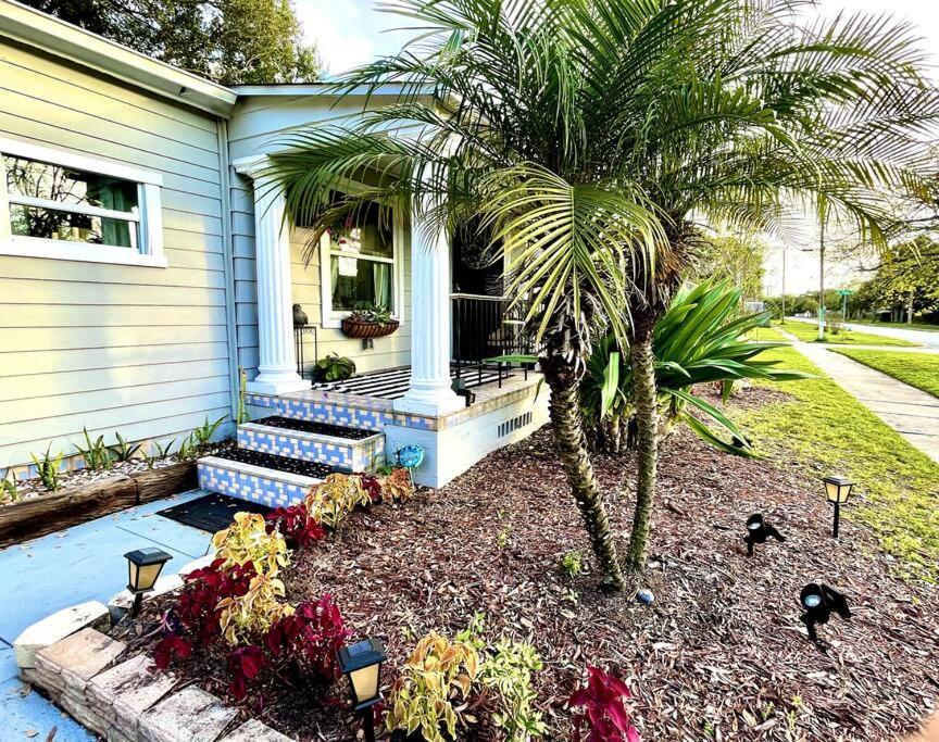 Cozy Sanctuary Minutes From The Bay And Beaches Tampa